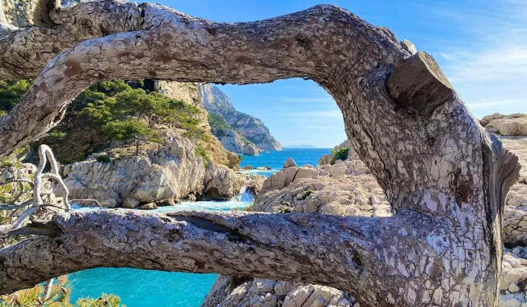 Mon Petit Paradis, Cassis Centre Apt 90 M2, 200 M Mer, Terr Plein Sud, Clim Park Prive Kültér fotó
